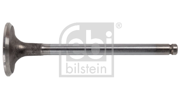 Intake Valve